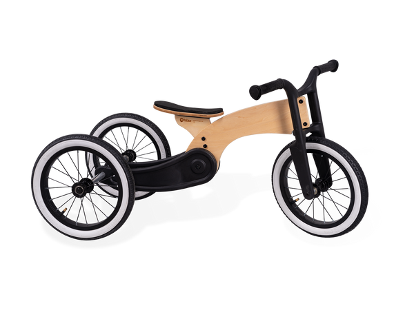 Wishbone Cruise Trike-Bike