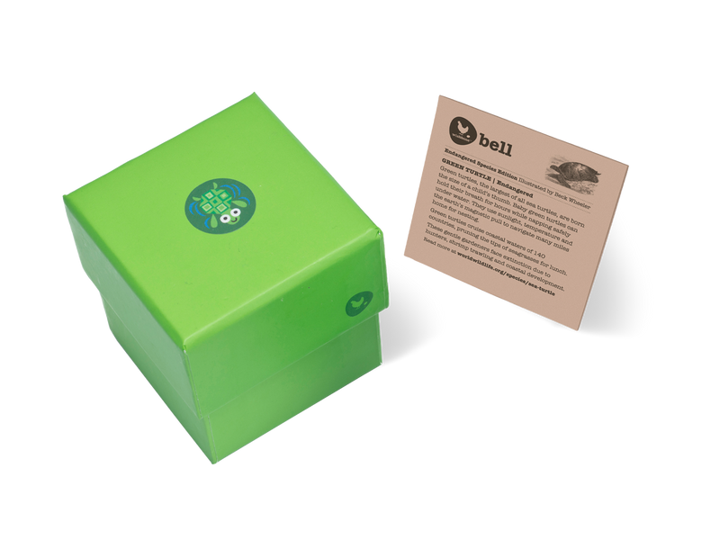 Green gift box with fact card on Green turtles