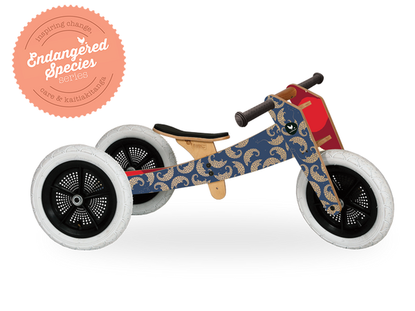 Endangered species Pangolin wooden running trike